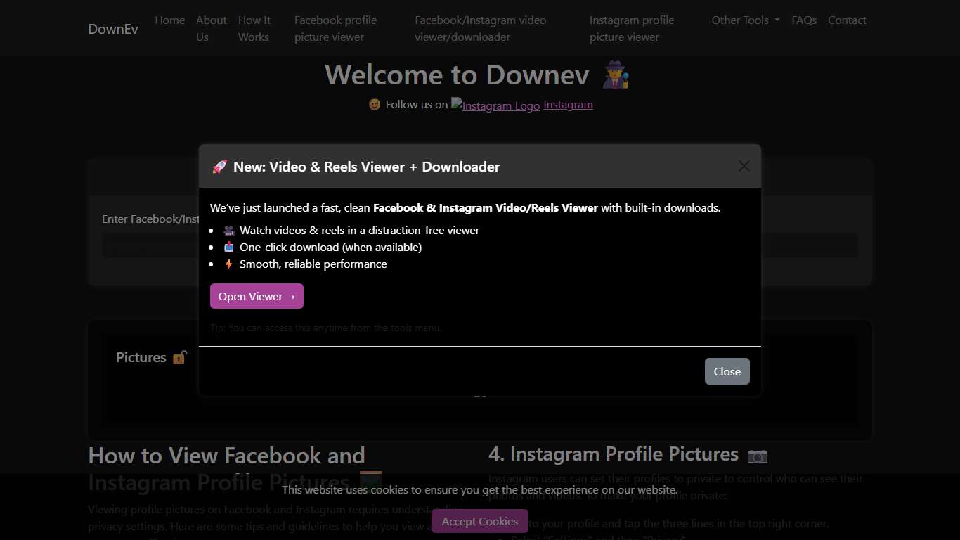 Facebook and Instagram Profile Viewer
